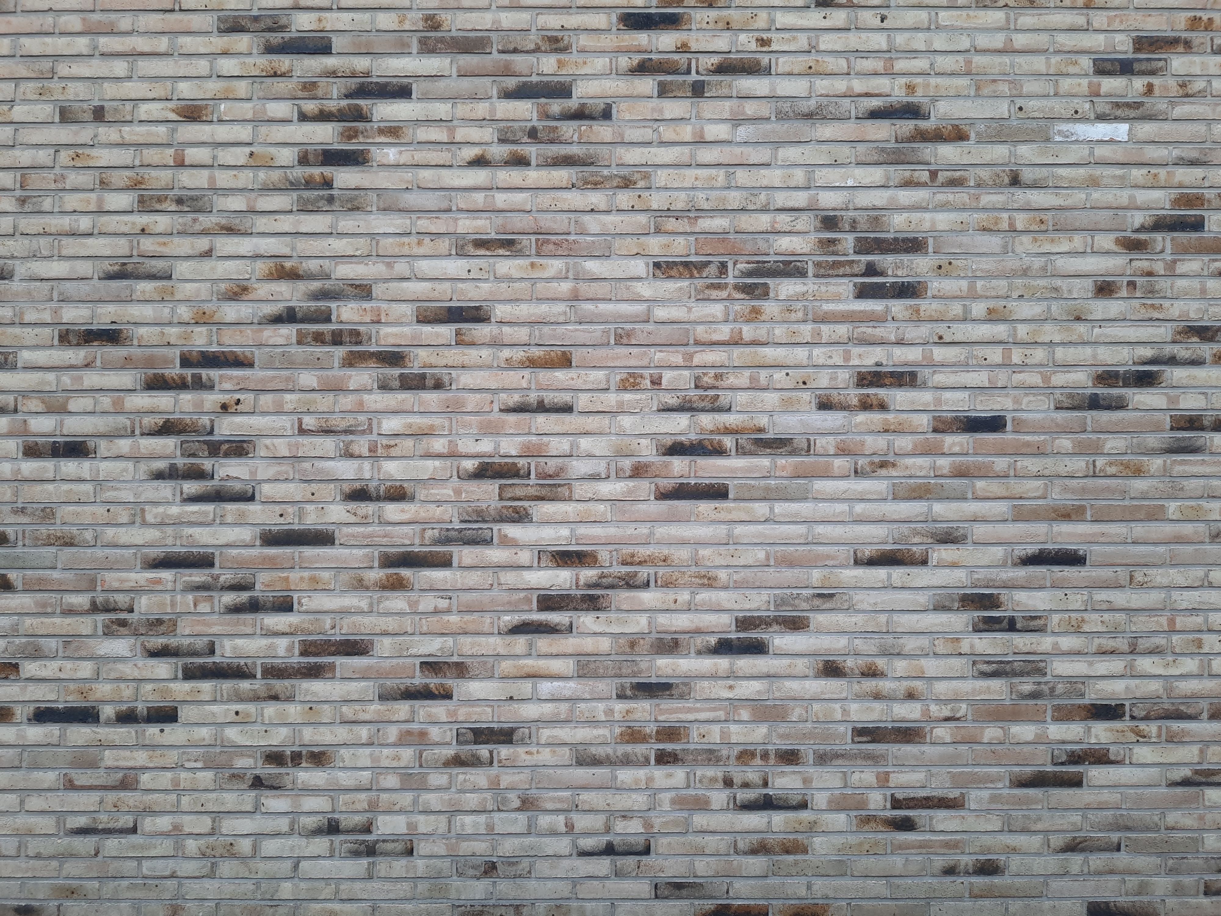 Material study — brick, timber, paving