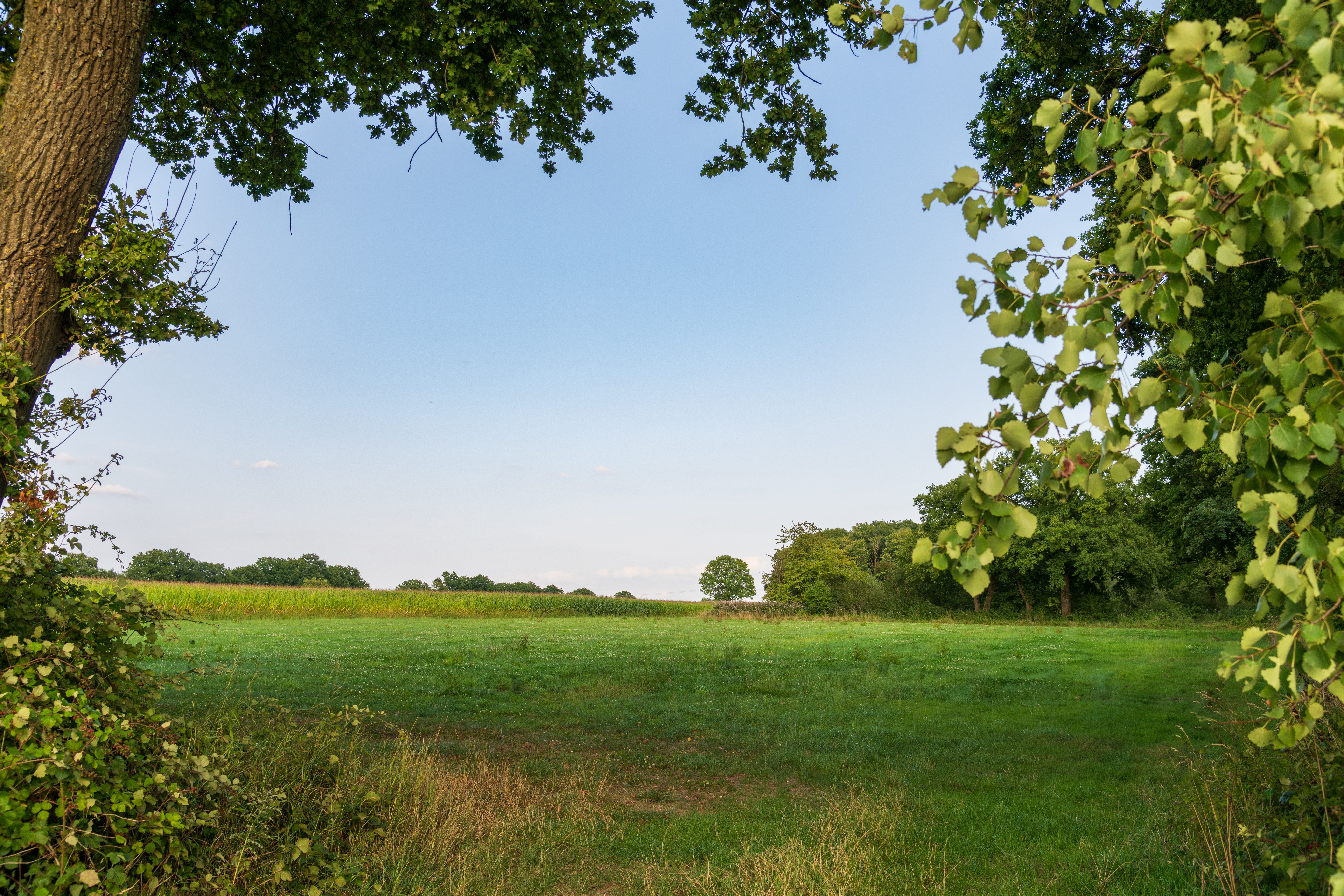 Prospective site — vacant land or existing structure